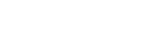 V I R S B U R T S